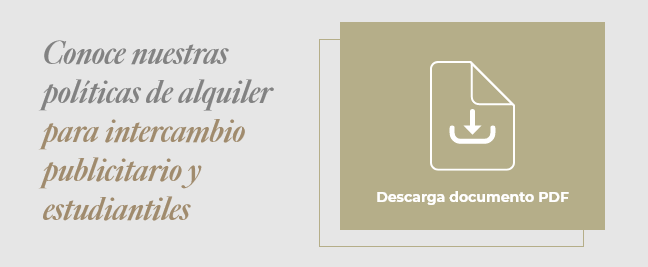 Imagen Z